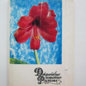 Набор открыток "Декоративные комнатные растения"